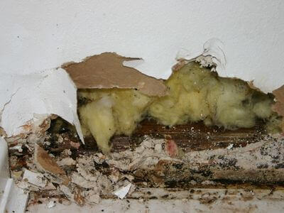About OnCall Water Restoration - water damage restoration experts in Sahuarita, AZ